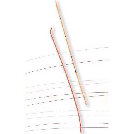 Introduttori e guide per tubi tracheali