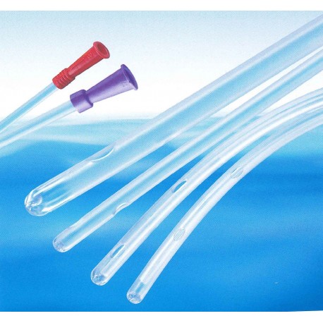 Cannula Rettale